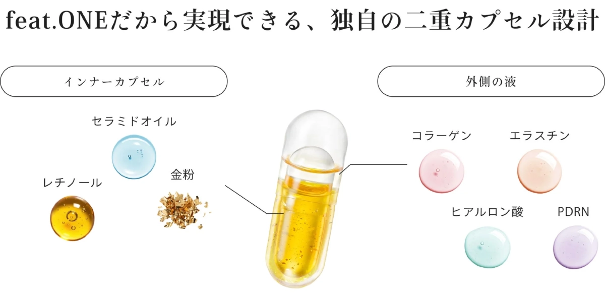 二重カプセル設計の図