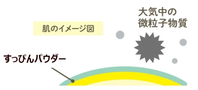 すっぴんパウダーが大気中の微粒子物質から肌を守るイメージ