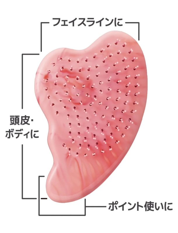 カッサの部位別使用方法