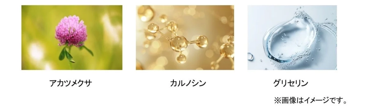 ルビーフラワーペプチドGLの成分