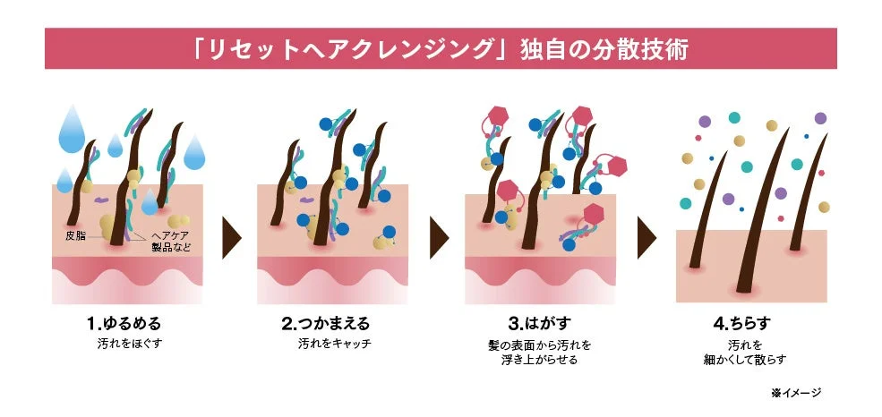 リセットヘアクレンジングの4ステップ洗浄の図