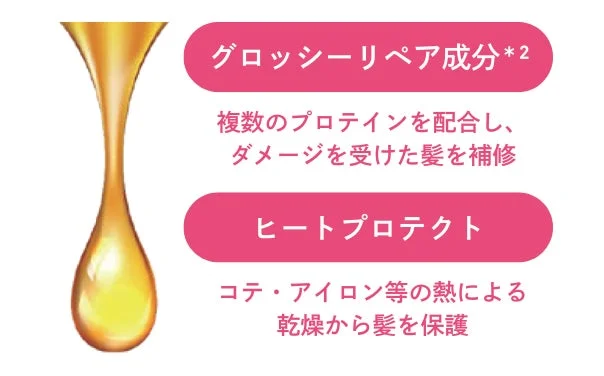 ダメージケア説明