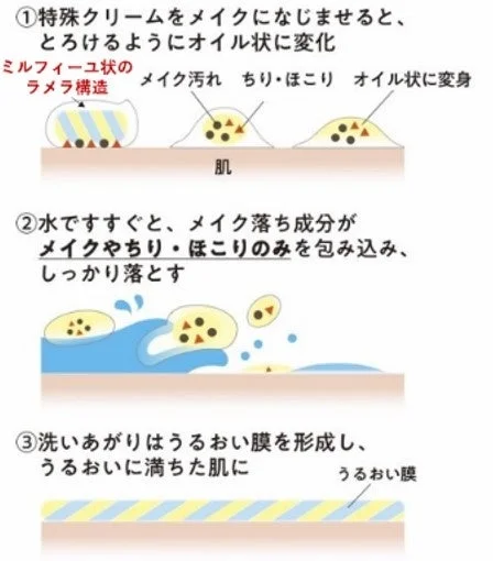 クレンジングメカニズム
