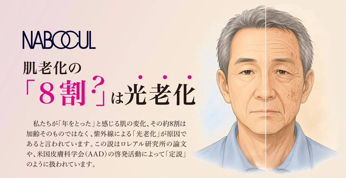 肌老化の約8割が紫外線による光老化であることを示す画像