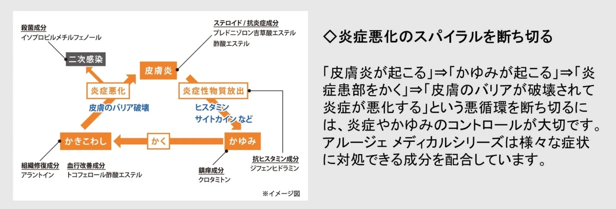 皮膚炎が悪化するメカニズム図