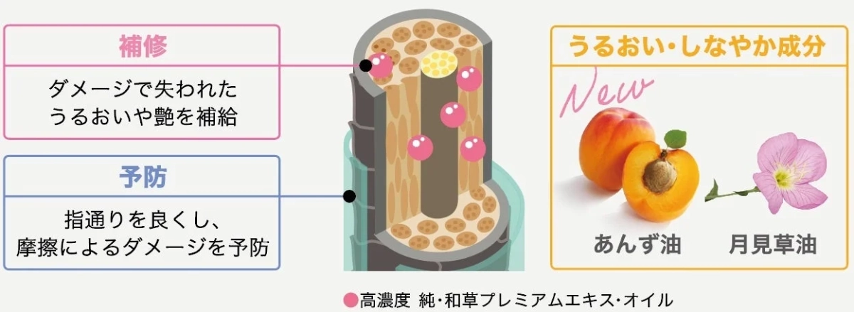ウォーターリズムコントロール処方の説明