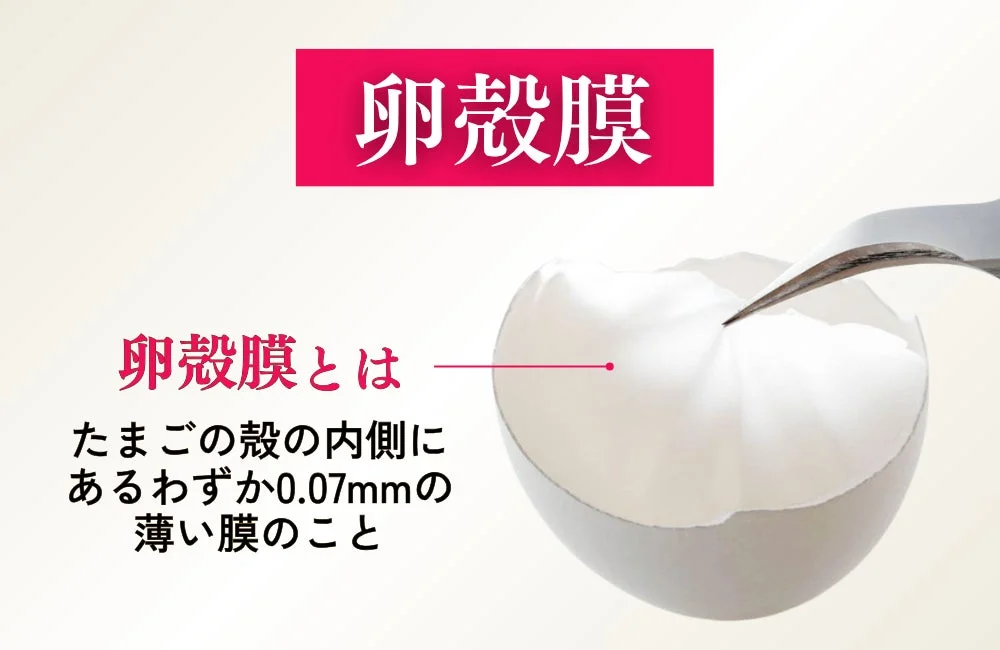卵殻膜の説明