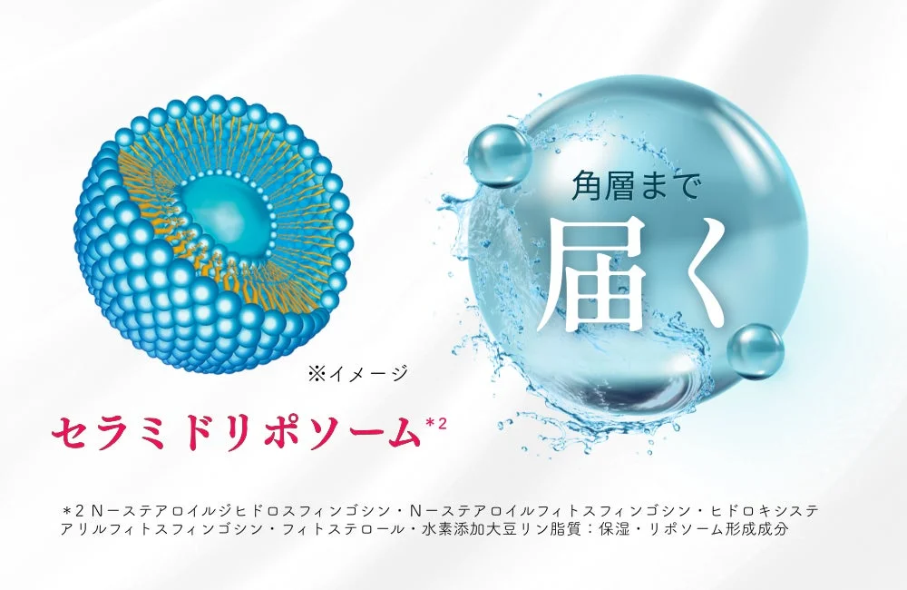 セラミドリポソームのイメージ