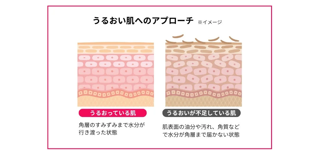 うるおい肌と乾燥肌の比較