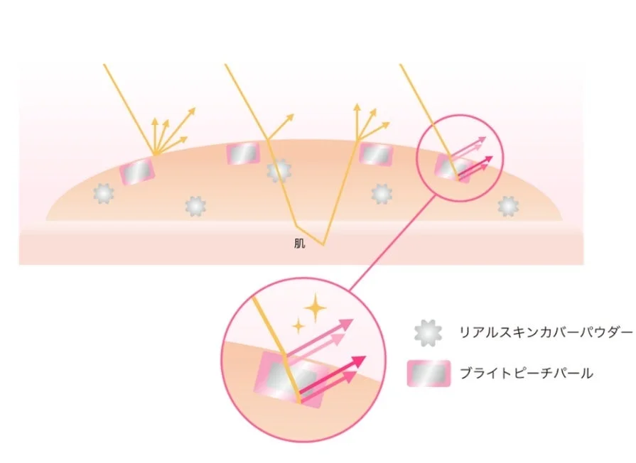 肌に塗布されたリアルスキンカバーパウダーとブライトピーチパールが、光を反射・拡散して肌を明るく見せるメカニズムを図解したイラスト