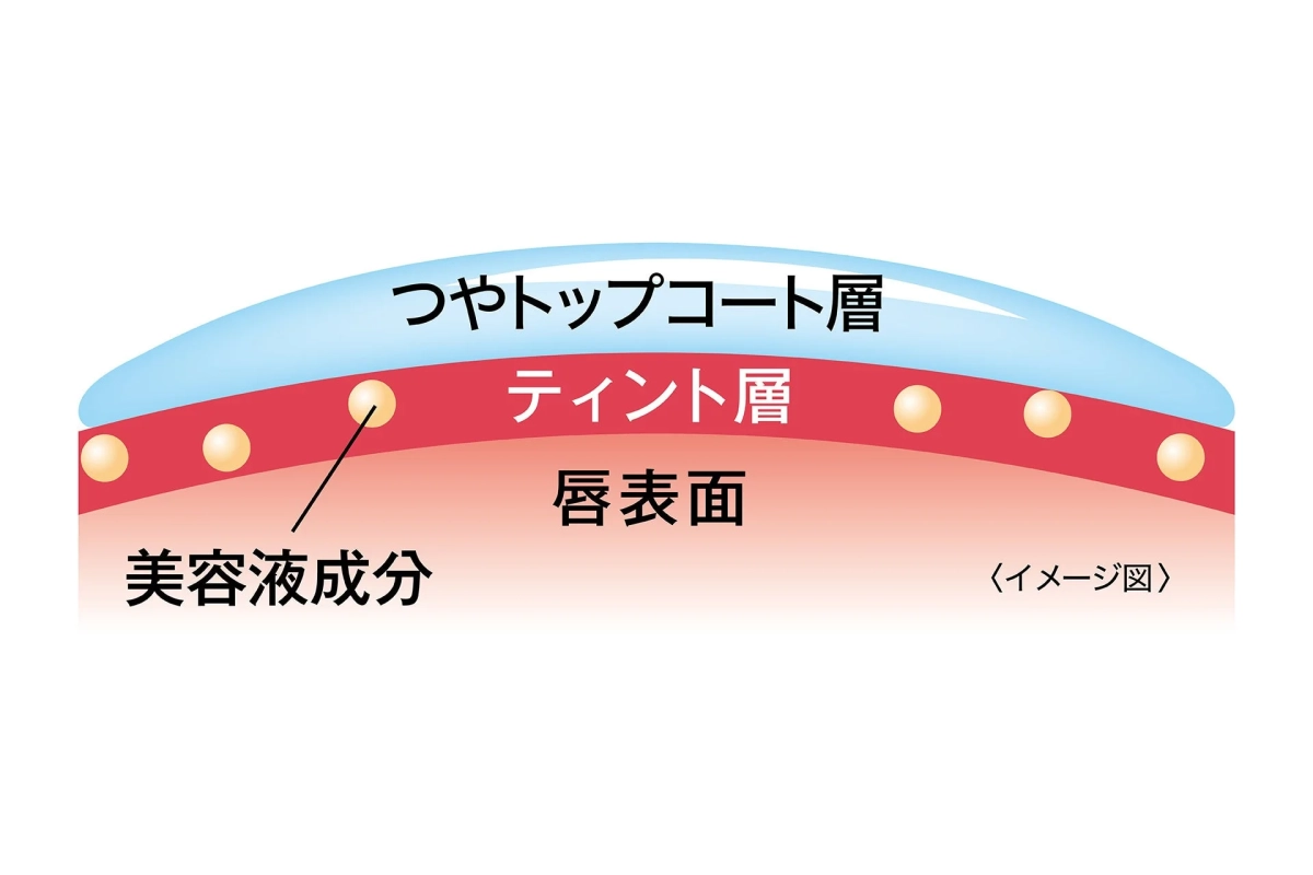つやトップコート層のイメージ図