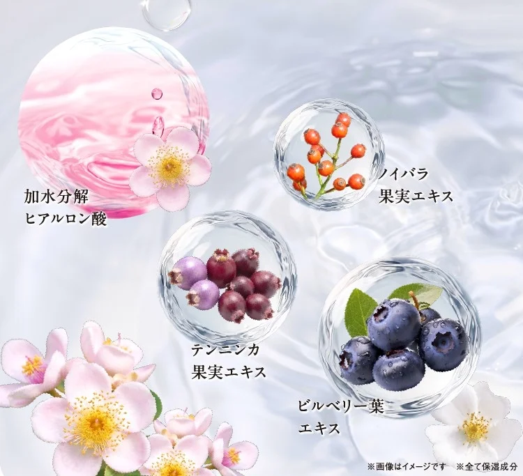 美容液成分
