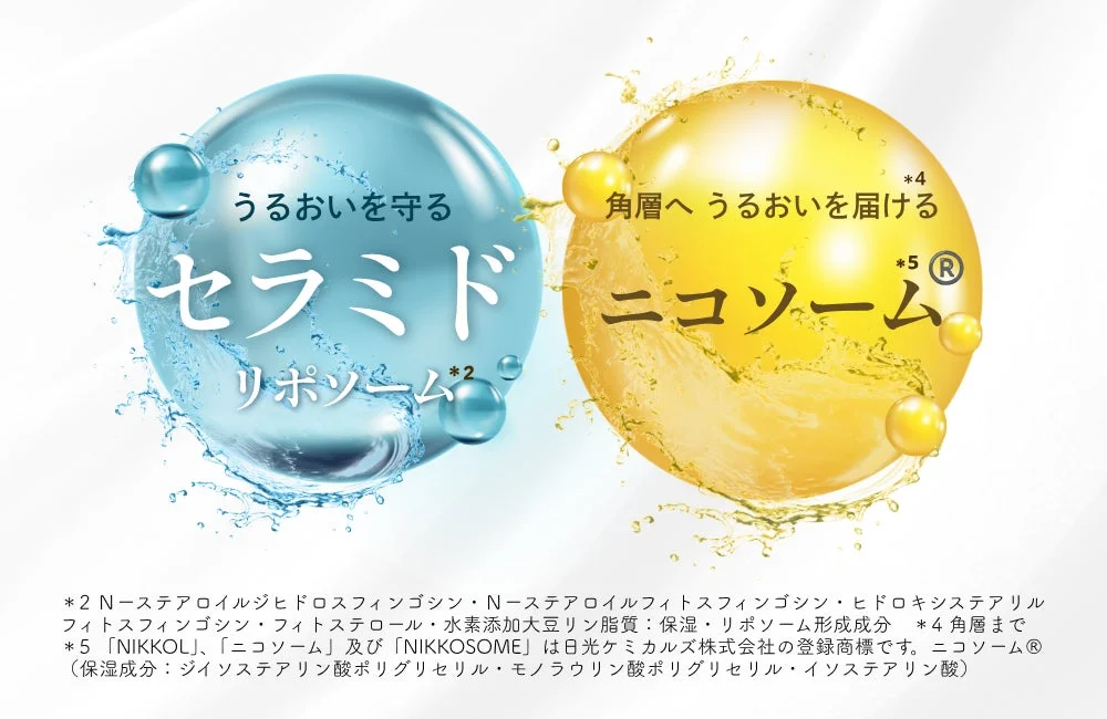 セラミドリポソームとニコソームの説明