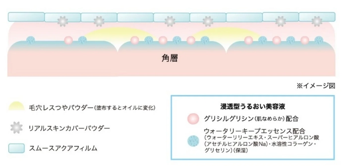 肌の角層における美容成分の働きを示す概念図