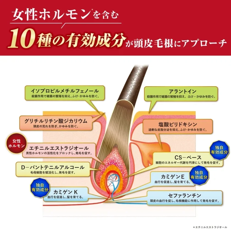 女性ホルモンを含む 10種の有効成分が頭皮毛根にアプローチ