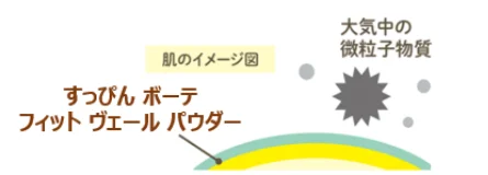 肌のイメージ図 すっぴん ボーテ フィット ヴェール パウダー 大気中の微粒子物質